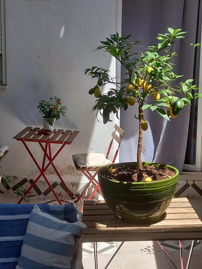 Guesthouse Jazmines Mozarabes # Wifi Baena Esterno foto